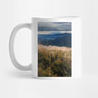 Mountain meadow 2 Mug